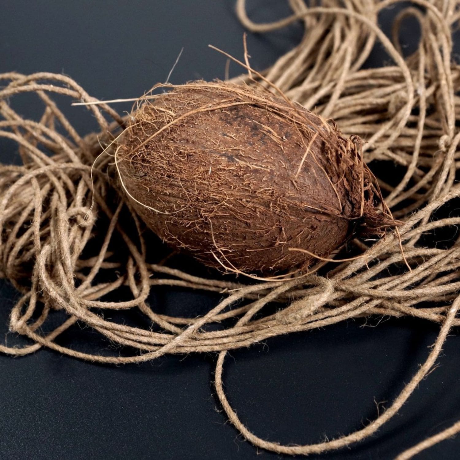 fibre de coco et sa noix de coco