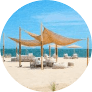 Ma Toile Coco logo
